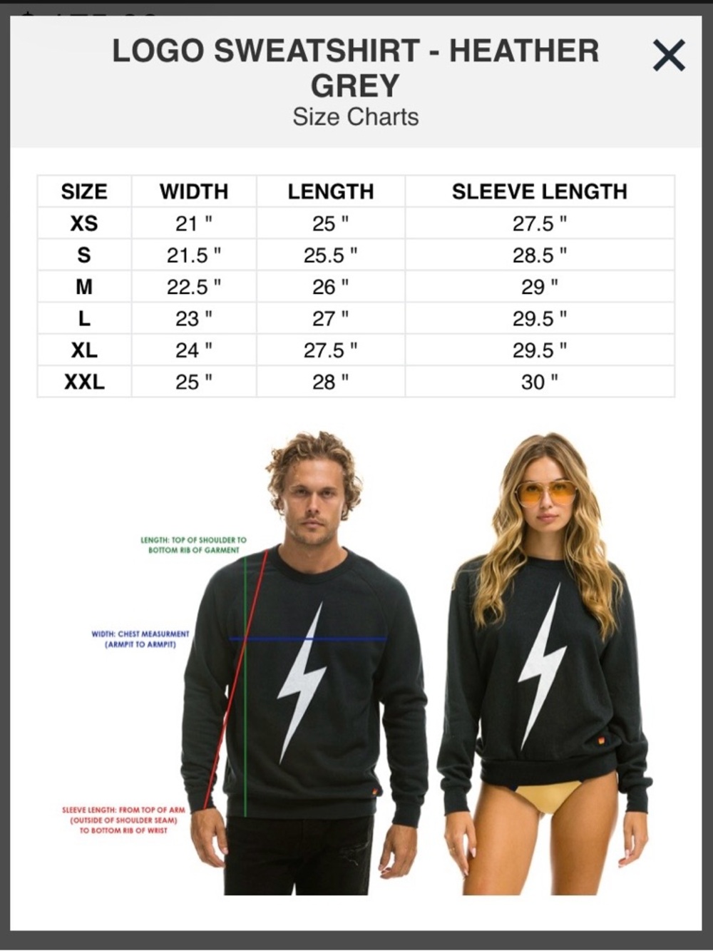 Aviator Nation NWT Logo Sweatshirt Heather Grey XS - Picture 8 of 11
